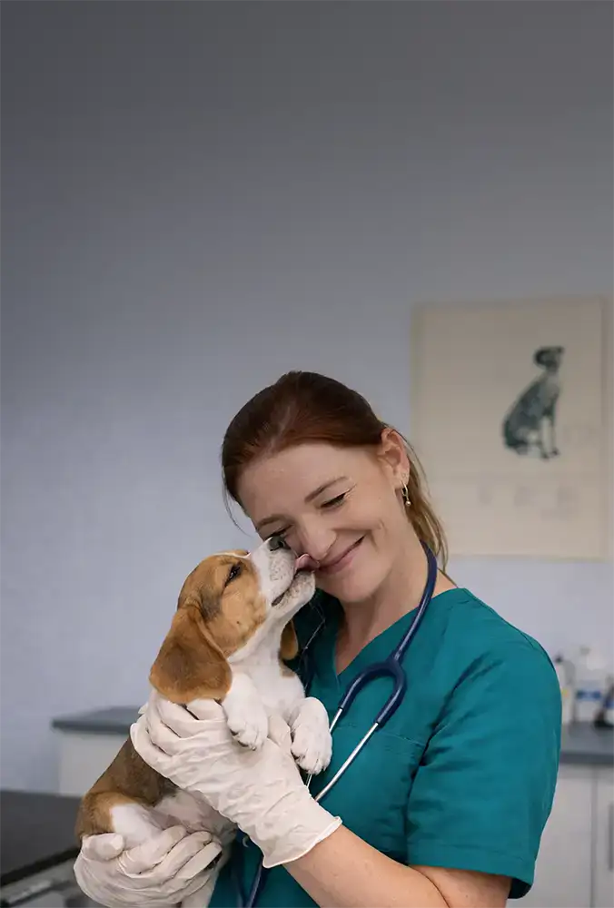 Cybersecurity Awareness Training for Vets